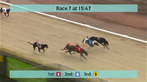 Monmore results yesterday The 264m 17:54 D3 at Monmore was won by Tromora Kiss